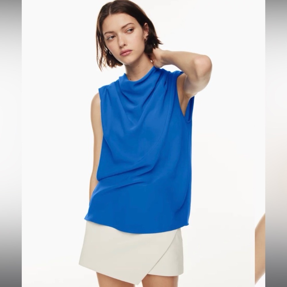 Aritzia Carter Blouse
